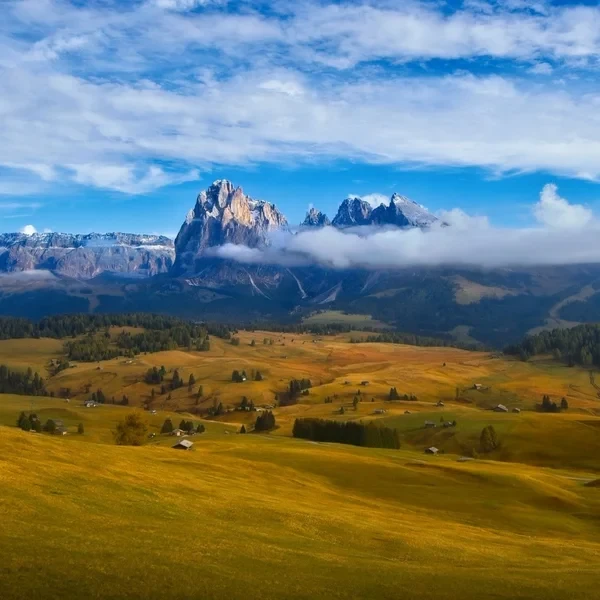Vue grand angle sur les prairies de l'Alpe di Siusi (Seiser Alm) avec le massif du Sciliar
