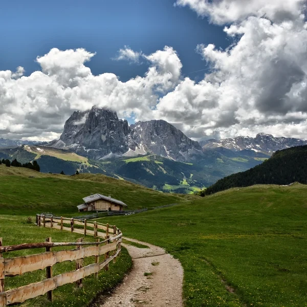 Alpe di Siusi alpine meadow with the Sassolungo massif rising behind under blue sky
