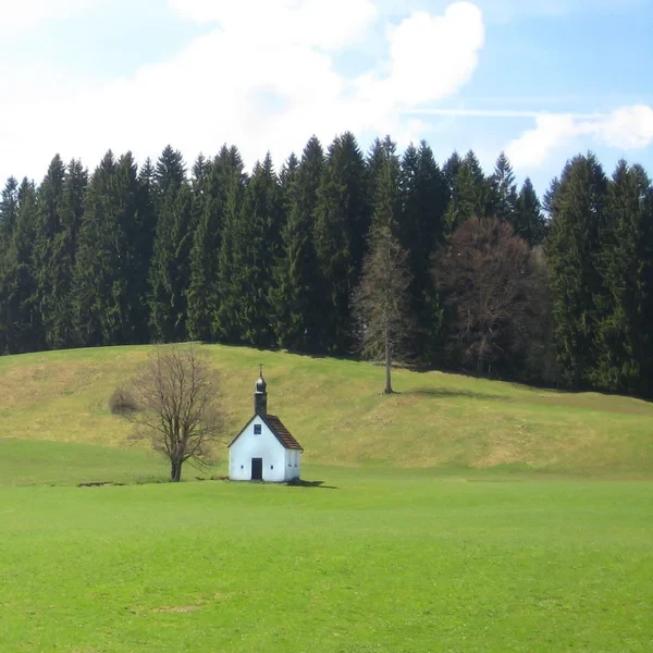 Les versants verdoyants du massif de l'Ammergau avec un chemin de randonnée traversant les alpages