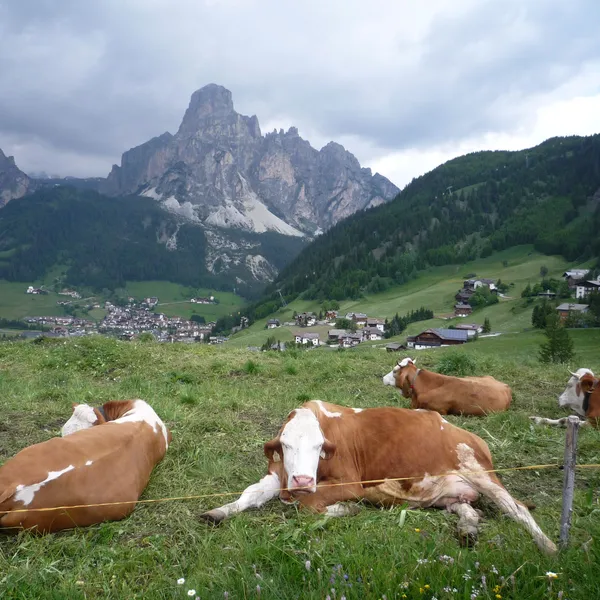 The pastures above Corvara, facing the Sassongher