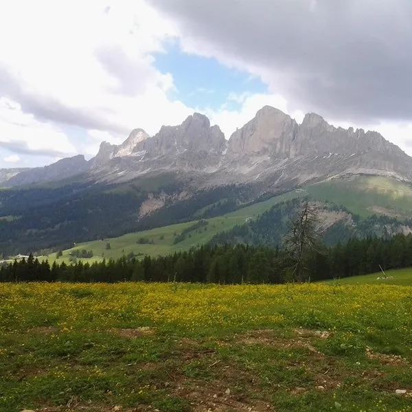 Meadows near Passo Costalunga, facing the Catinaccio ridge