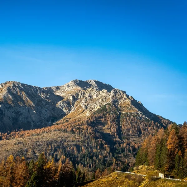Le Passo Costalunga et le massif énigmatique du Latemar vus depuis le sentier final descendant des forêts du Rosengarten