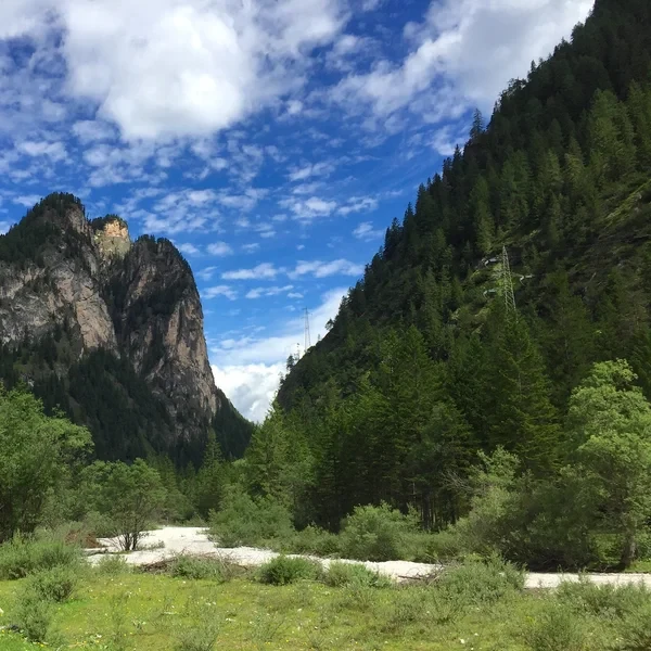 The Dobbiaco-Cortina cycle path running south of Lago di Dobbiaco through the Puster Valley with Dolomite peaks of the Sesto group rising above