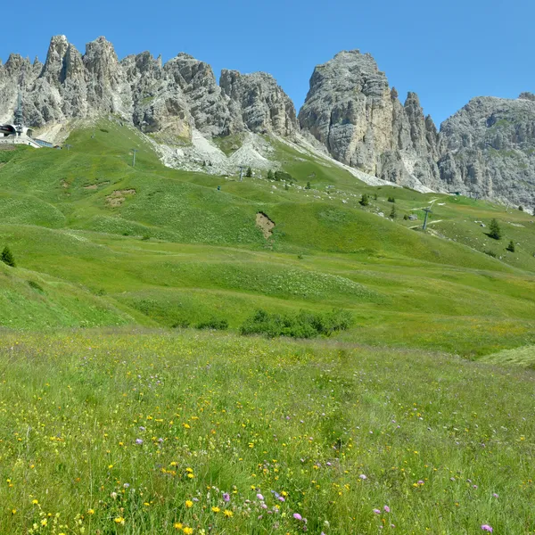 The alpine pastures of Passo Gardena below the Cirspitzen