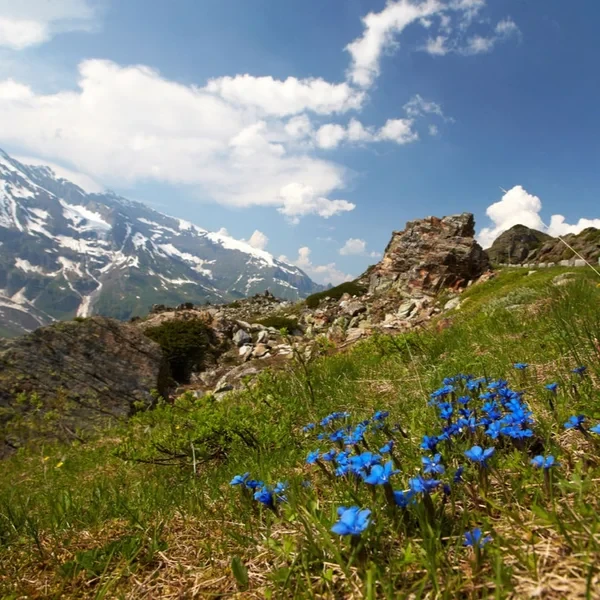 Les crêtes enneigées et les glaciers du massif du Hohe Tauern vus depuis le sentier du col de Krimmlertauern