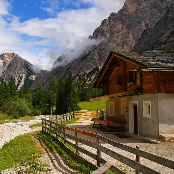 Les alpages ouverts de la Malga Foresta