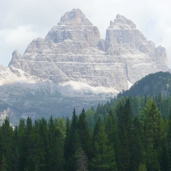 Le lac de Misurina dans une clairière de pins avec les falaises dolomitiques environnantes reflétées dans l'eau