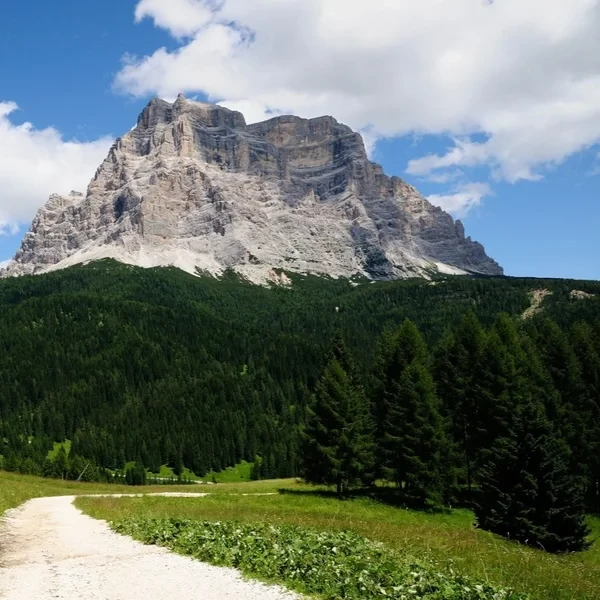 La pyramide calcaire du Mont Pelmo se dressant au-dessus des forêts de conifères sous un ciel bleu