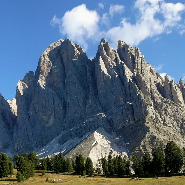 The Odle spires above the meadows and pines, seen from the Geisleralm