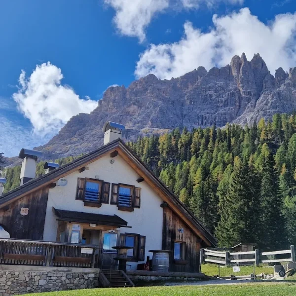Malga Federa alpine hut with wooden fence below Croda da Lago and green forest
