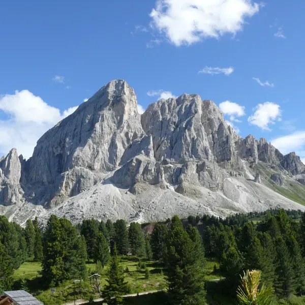 The Sass de Putia above the pines, seen from the Passo delle Erbe
