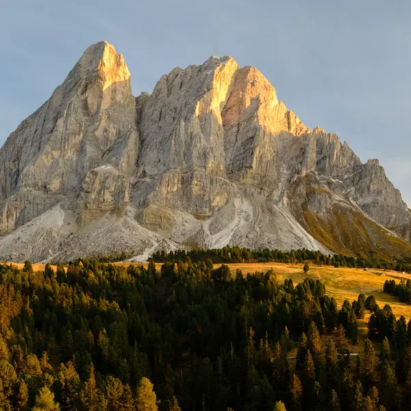 The Sass de Putia at sunset in autumn, golden larches near the Passo delle Erbe