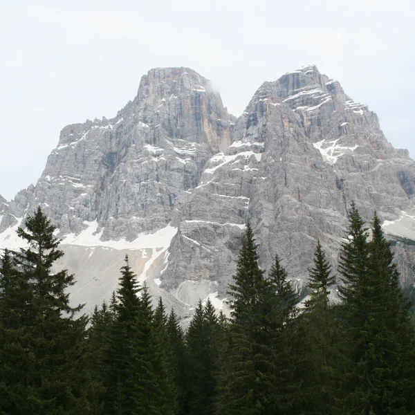 Pelmetto and Pelmo above the forest near Passo Staulanza