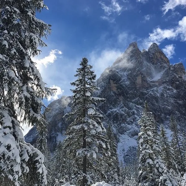 Val Fiscalina (Fischleintal) with the flat valley floor leading toward the dramatic Sesto Dolomites including the Cima Undici and Paterno group