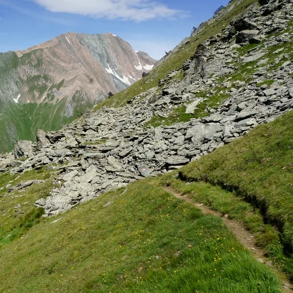 Le glacier du Grossvenediger et les sommets environnants vus depuis le sentier du col de Krimmlertauern