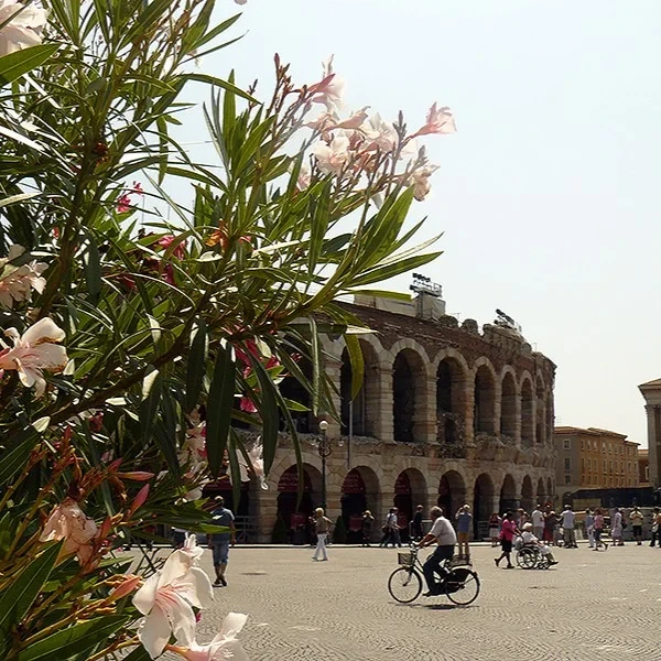 Les arènes romaines de Vérone avec des fleurs de laurier-rose au premier plan et des visiteurs sur la piazza par une journée ensoleillée